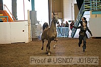 usn07_j01872 thumbnail