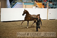 usn07_j01915 thumbnail
