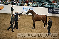 usn07_j01920 thumbnail