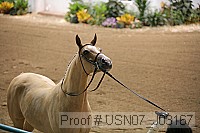 usn07_j03167 thumbnail
