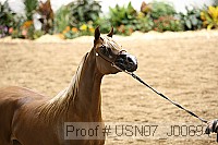usn07_j00694 thumbnail