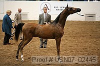 usn07_02445 thumbnail