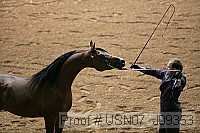 usn07_j09353 thumbnail