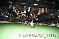 usn07_11119 thumbnail