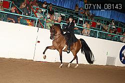 07YN_08143 thumbnail