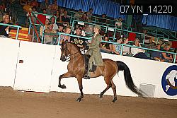 07YN_14220 thumbnail