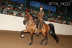 07YN_14222 thumbnail
