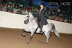 07YN_14230 thumbnail