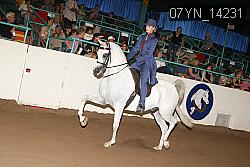07YN_14231 thumbnail