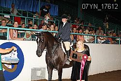 07YN_17612 thumbnail