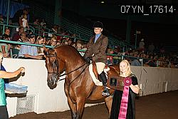 07YN_17614 thumbnail