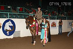 07YN_17616 thumbnail