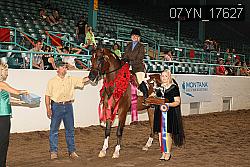 07YN_17627 thumbnail