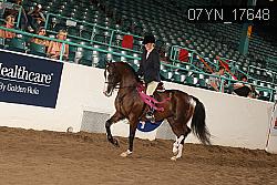 07YN_17648 thumbnail