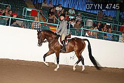 07YN_4745 thumbnail