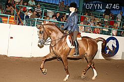 07YN_4746 thumbnail