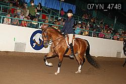 07YN_4748 thumbnail