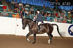 07YN_4749 thumbnail