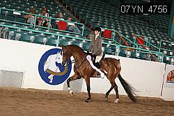 07YN_4756 thumbnail