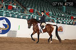 07YN_4758 thumbnail