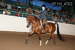 07YN_4763 thumbnail