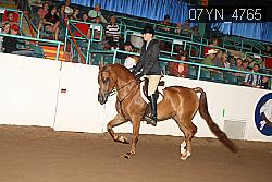 07YN_4765 thumbnail