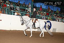 07YN_4767 thumbnail
