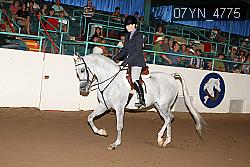 07YN_4775 thumbnail