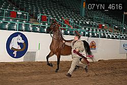 07YN_4616 thumbnail