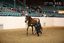 07YN_4436 thumbnail