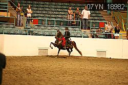 07YN_18982 thumbnail