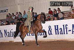 07YN_11799 thumbnail