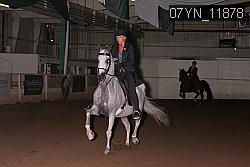 07YN_11878 thumbnail