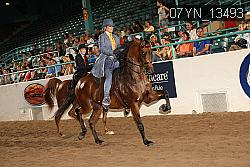 07YN_13493 thumbnail