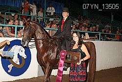 07YN_13505 thumbnail