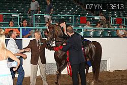 07YN_13513 thumbnail