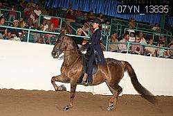 07YN_13835 thumbnail
