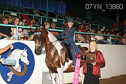 07YN_13860 thumbnail