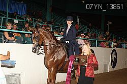07YN_13861 thumbnail