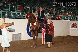 07YN_13870 thumbnail
