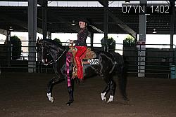 07YN_1402 thumbnail