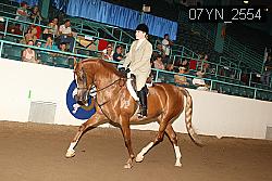 07YN_2554 thumbnail