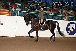 07YN_2610 thumbnail