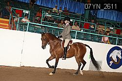 07YN_2611 thumbnail