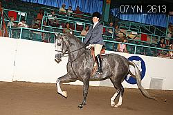 07YN_2613 thumbnail