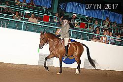 07YN_2617 thumbnail
