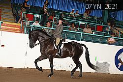 07YN_2621 thumbnail