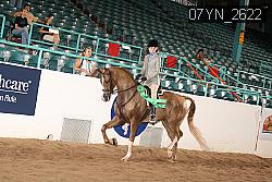 07YN_2622 thumbnail