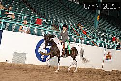 07YN_2623 thumbnail