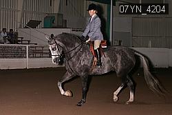 07YN_4204 thumbnail